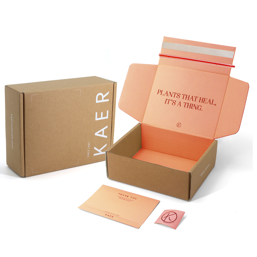 Shipping Mailer Gift Packaging Self Zipper Corrugated Box