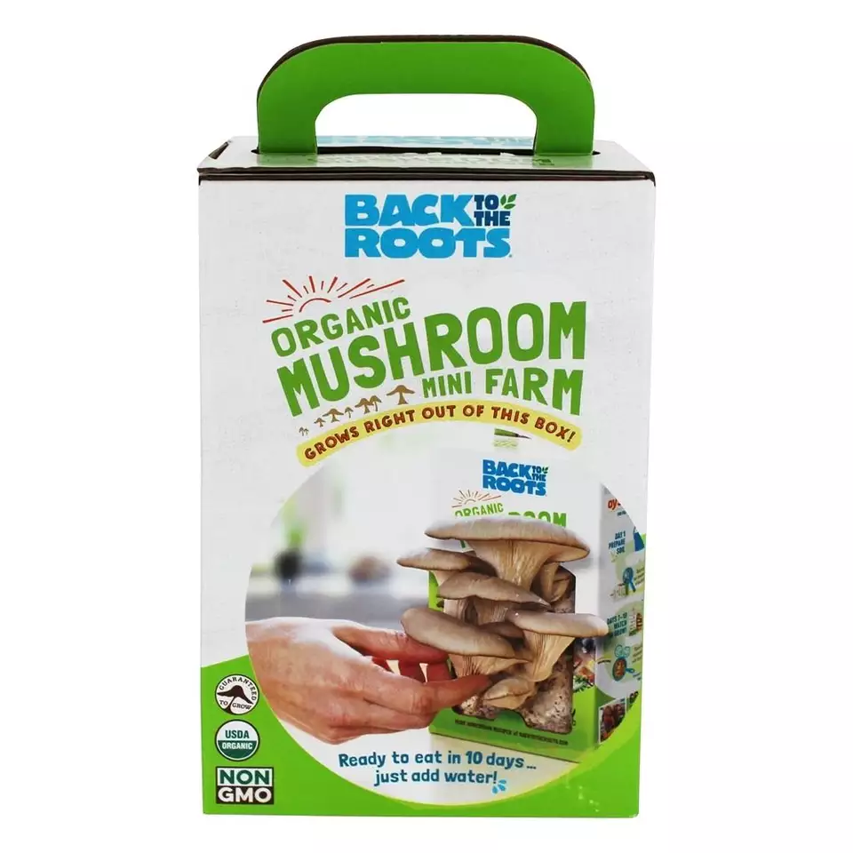 Wholesales customize organic mushroom DIY mini farm corrugated box