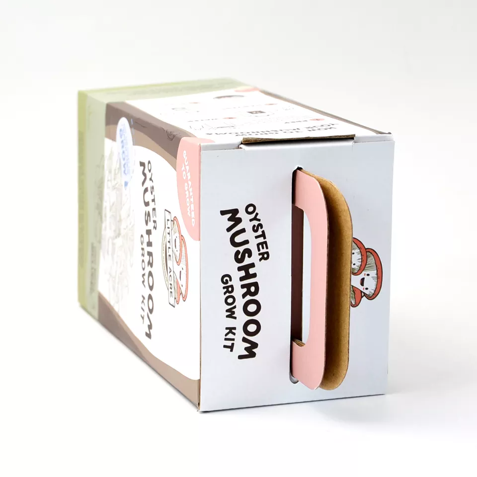 Wholesales customize organic mushroom DIY mini farm corrugated box - Image 5