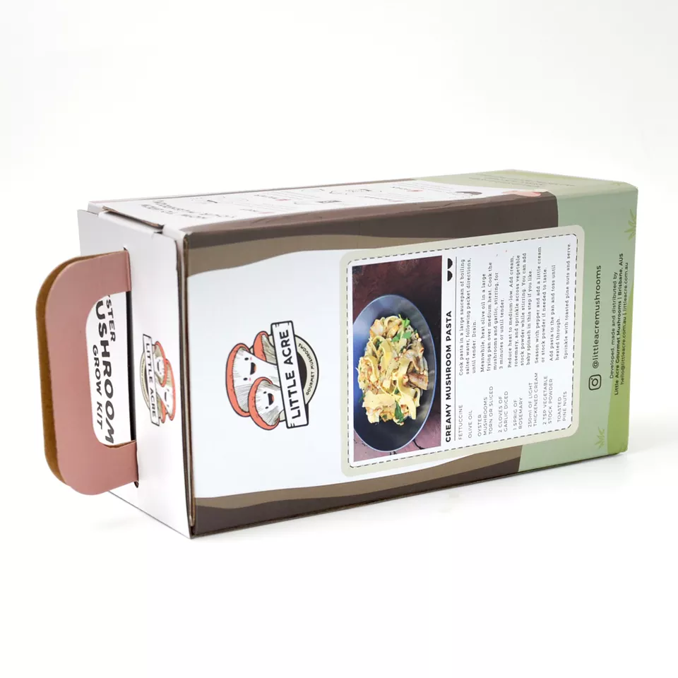 Wholesales customize organic mushroom DIY mini farm corrugated box - Image 4