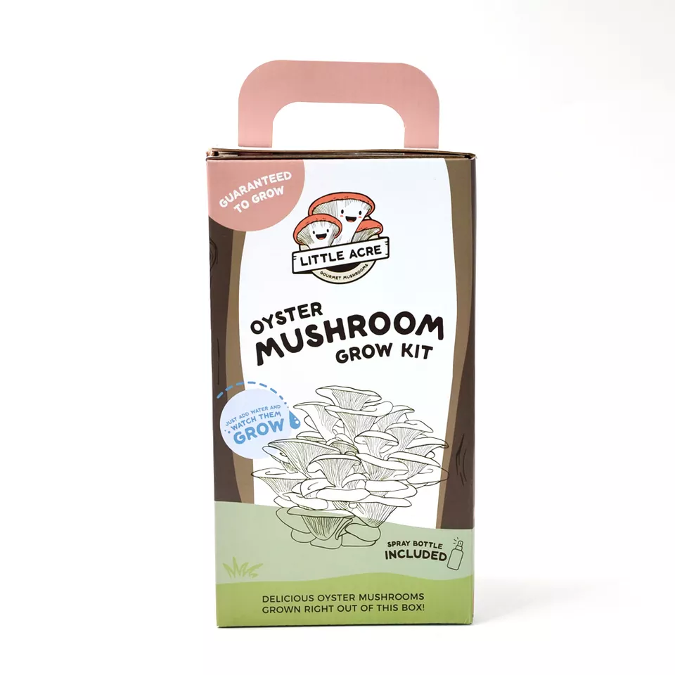 Wholesales customize organic mushroom DIY mini farm corrugated box - Image 2